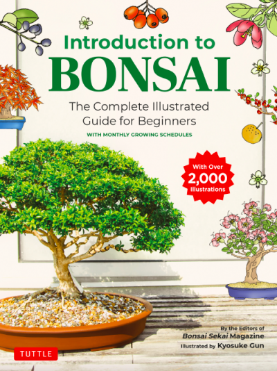 Introduction to Bonsai the complete illustrated guide for beginners