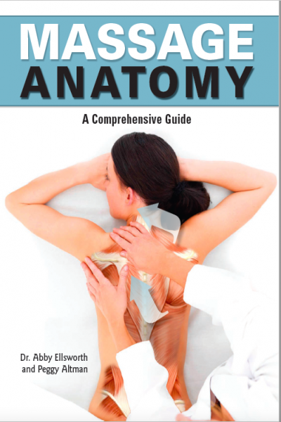 Massage Anatomy a comprehensive guide